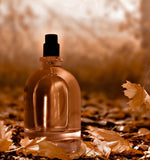 Gliese Fragrance